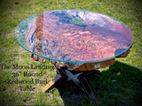 The Moon Landing - Redwood Burl Coffee Table