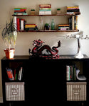 The Library - Barn Board Shelves
