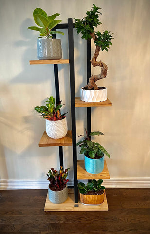 Plant Tower with Ambrosia Maple or Black Walnut Floating Shelves