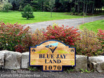 The Wildcard - Custom Oak Driveway Sign