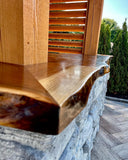 The Oasis - Black Walnut Outdoor Bar