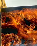 The Wildfire - Old Growth Redwood Dining Table